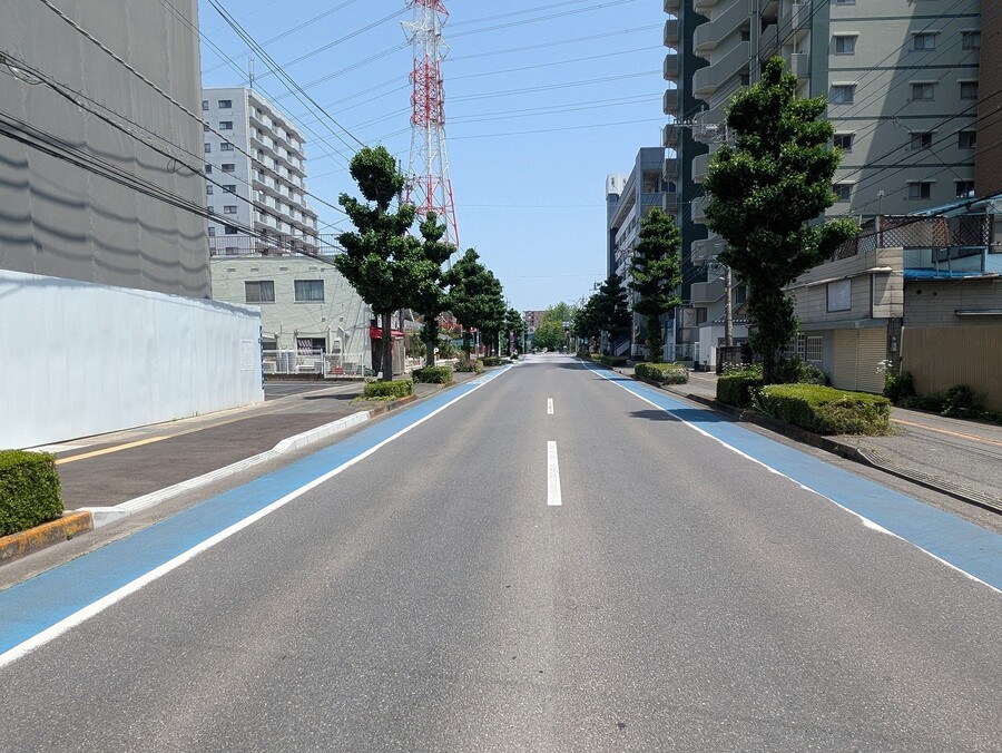 前面南道路（白楊高通り）