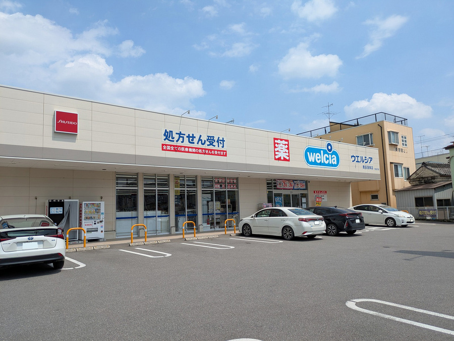 ウエルシア鹿沼蓬莱店　約250ｍ