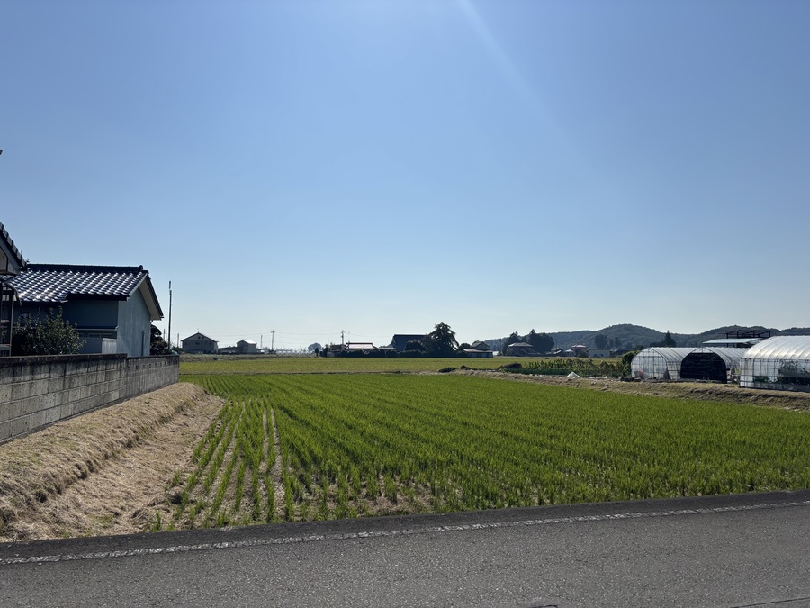 敷地南側は田んぼで開放感のある立地です