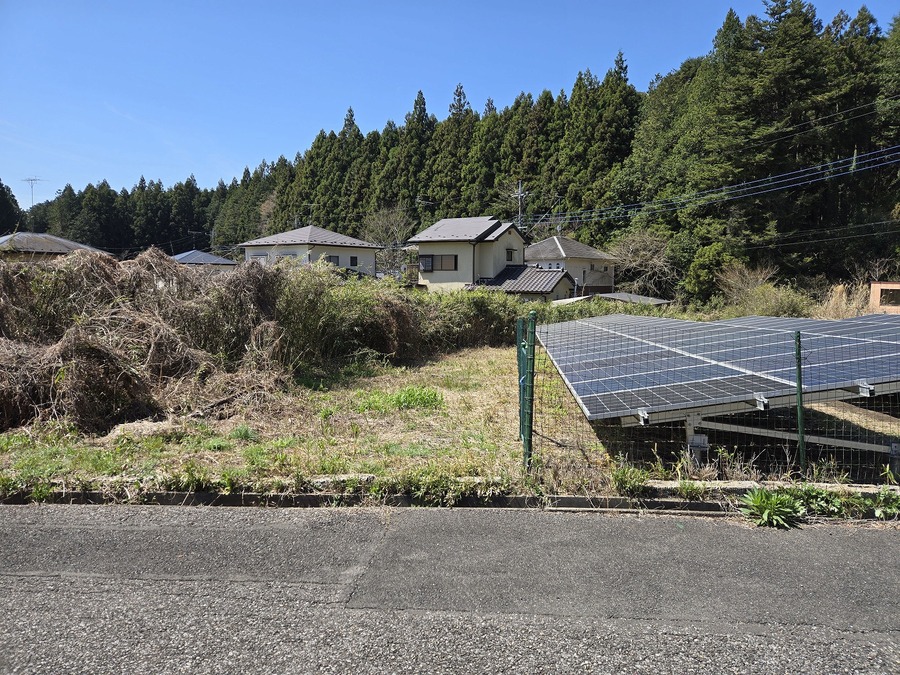 現地写真　北側から