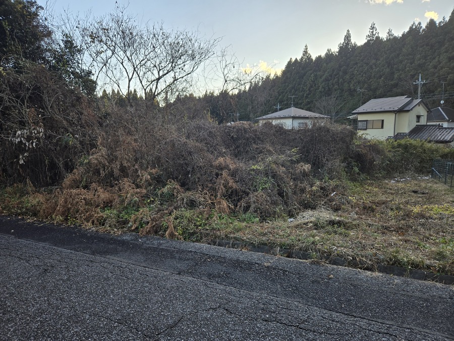 現地写真　北側から