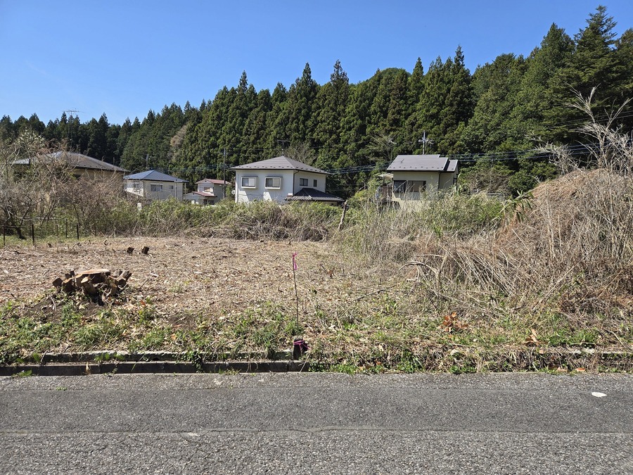 現地写真　南側から