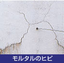 ^̃qr