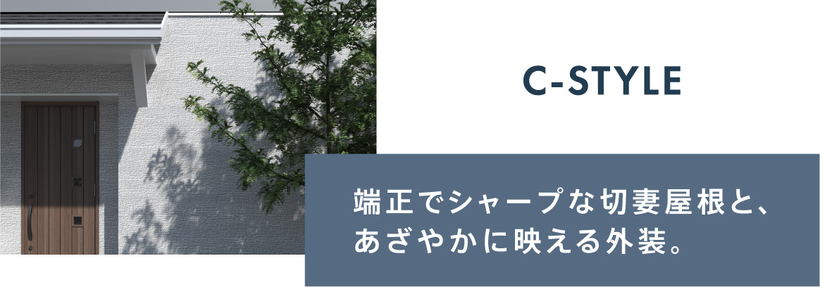 C-STYLE