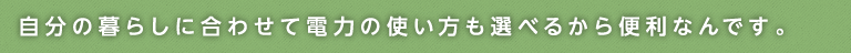 自分の暮らしに合わせて電力の使い方も選べるから便利なんです。